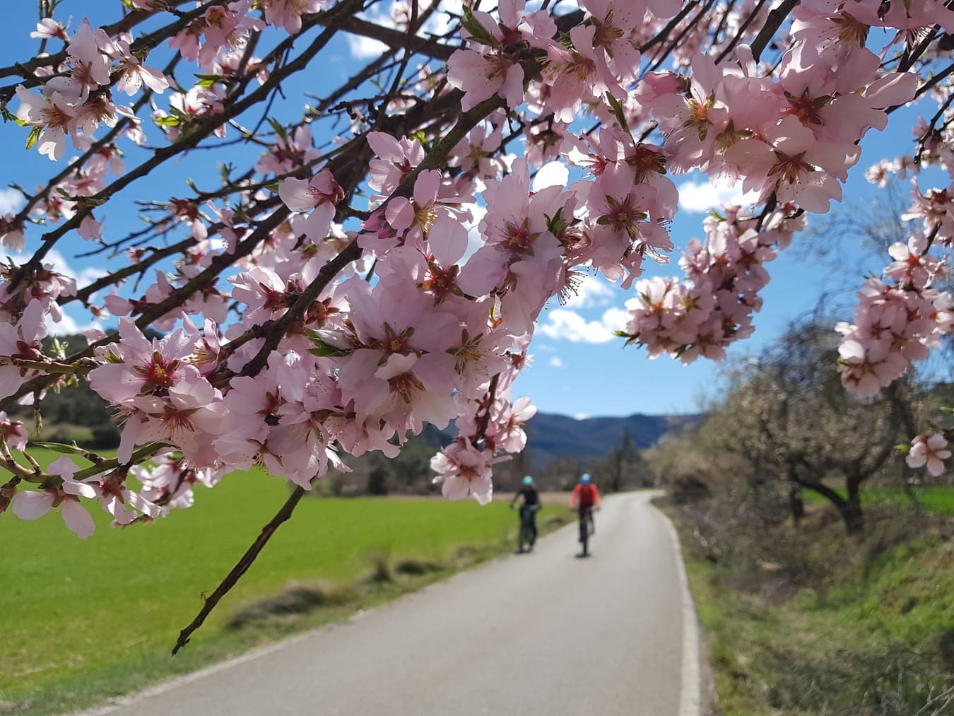 36-riberas-del-cinca